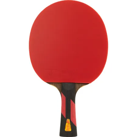 Ракетка для н/т DOUBLE FISH 7A+C, для професс.,ITTF Appr.,накл.2,1мм,+ 2 мяча V40+мм ITTF Appr за 3&nbsp;559.80 ₽ купить в Нижнем Тагиле