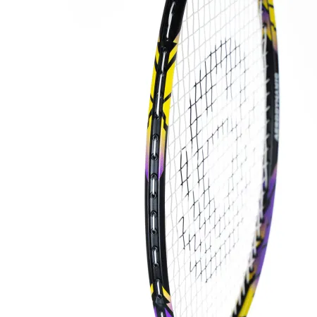 Ракетка бадм. TORRES Carbon PRO6, BD20521,для продв., стерж/обод из карбона,со струнами, фиол за 4&nbsp;477.80 ₽ купить в Нижнем Тагиле