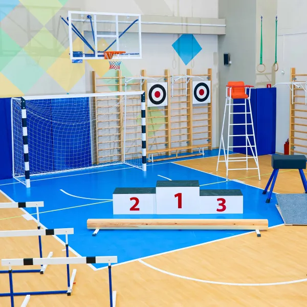 Щит для метания навесной на шведскую стенку (фанера) 700х700 ZAVODSPORTA за 8&nbsp;960 ₽ в Нижнем Тагиле
