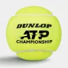 Мяч теннисный Dunlop ATP Championship 4B, 601627, уп.4ш, одобр. ITF, нат.резина,фетр. за 1&nbsp;242.70 ₽ купить в Нижнем Тагиле