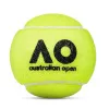Мяч теннисный Dunlop Australian Open, 601601, уп..3 шт, одобр.ITF,фетр,нат.резина, желтый за 1&nbsp;171.30 ₽ купить в Нижнем Тагиле