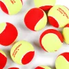 Мяч теннисный детский NS Red, 5021009, уп.12 шт, резина, шерть, нейлон, желто-красный за 2&nbsp;941 ₽ купить в Нижнем Тагиле