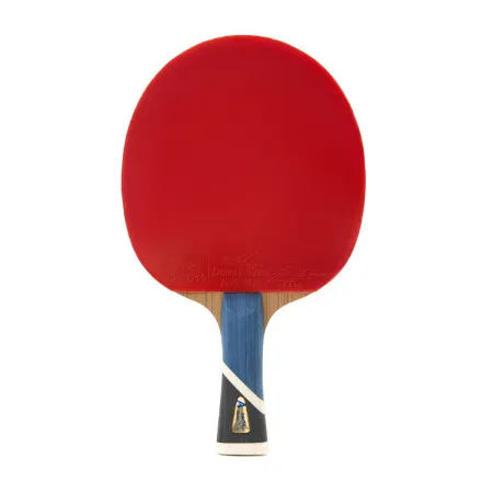 Ракетка для н/т DOUBLE FISH 5A+C, для продвин, ITTF Appr, накл. 2,1 мм, конич. ручка+ 2 мяча V40+мм за 2&nbsp;779.50 ₽ купить в Нижнем Тагиле