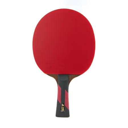 Ракетка для н/т DOUBLE FISH 7A+C, для професс.,ITTF Appr.,накл.2,1мм,+ 2 мяча V40+мм ITTF Appr за 3&nbsp;559.80 ₽ купить в Нижнем Тагиле