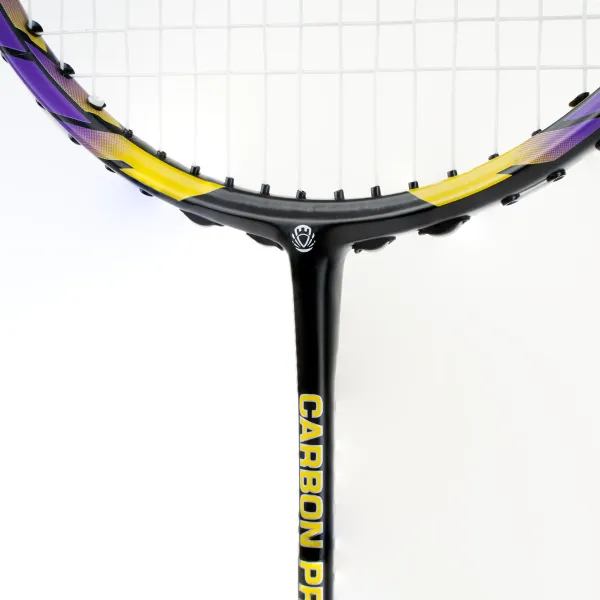 Ракетка бадм. TORRES Carbon PRO6, BD20521,для продв., стерж/обод из карбона,со струнами, фиол за 4&nbsp;477.80 ₽ в Нижнем Тагиле