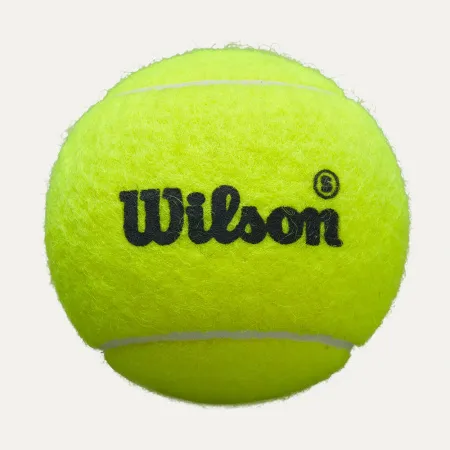Мяч для падела Wilson Premier Padel Speed, WR8908501001, уп.3 шт, FIP Appr.,сукно, нат.резина,желтый за 1&nbsp;235.90 ₽ купить в Нижнем Тагиле